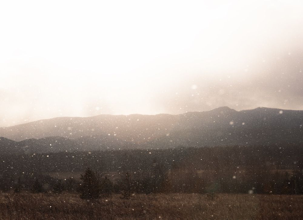 Photograph by Вера Мелёхина