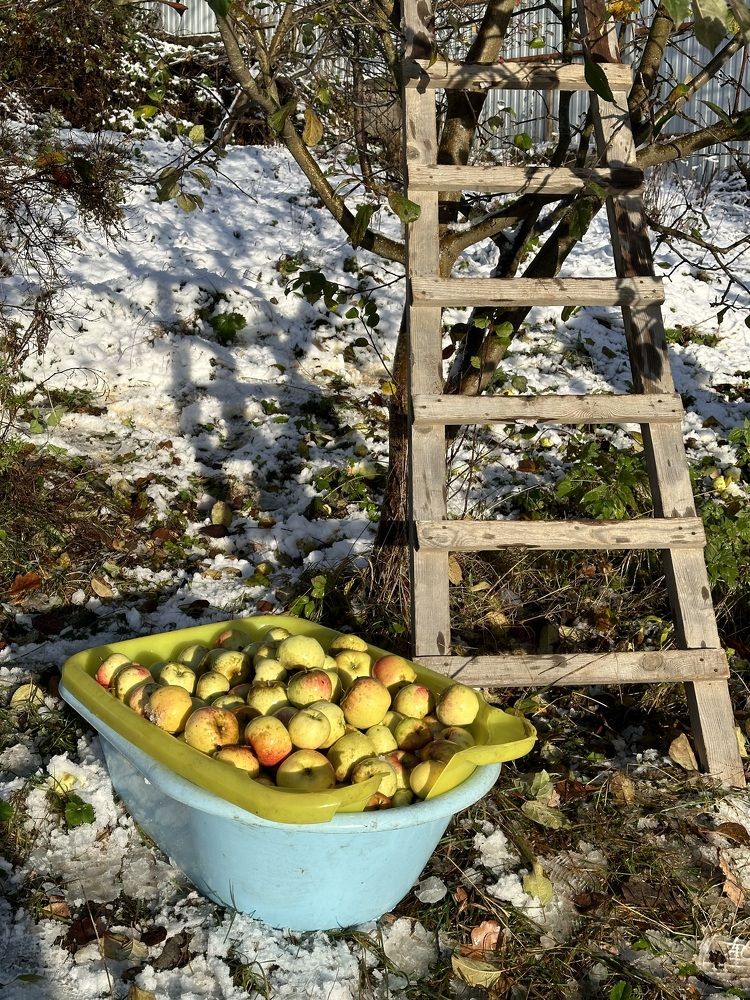 Фотография автора Alina Efimova