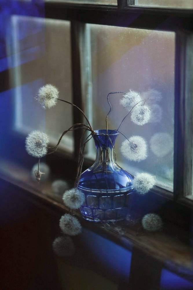 В синем цвете