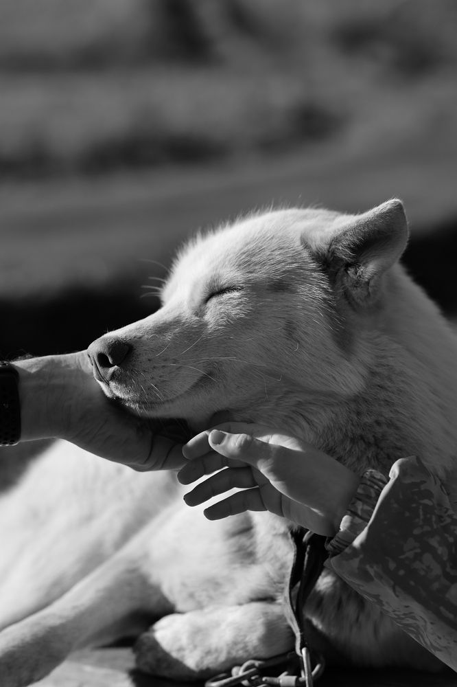 Фотография автора Alina Efimova