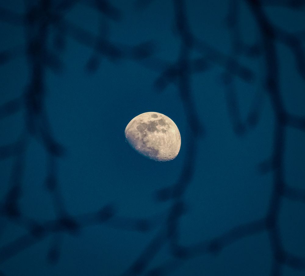 Photograph by Mohammad Husaini