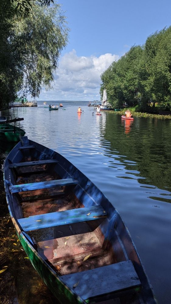 Фотография автора Васильева Ирина