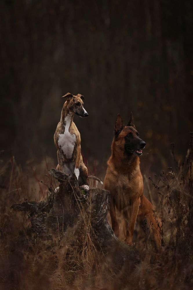 Фотография автора Мария