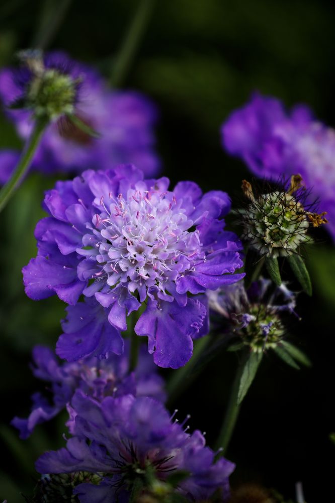 Photograph by Alexander Omelchuk