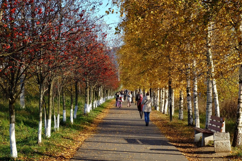 Photograph by Лариса Андреева