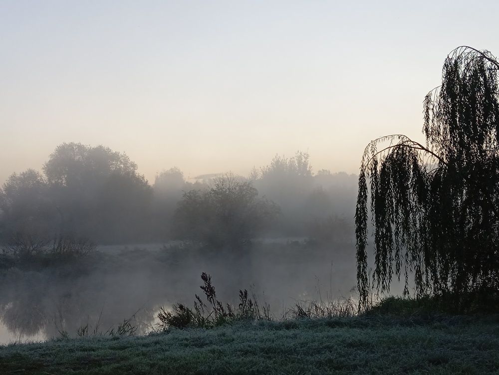 Photo #11327012