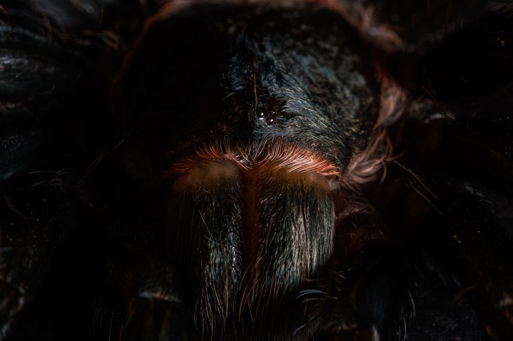 Photograph by Сергей Шестов