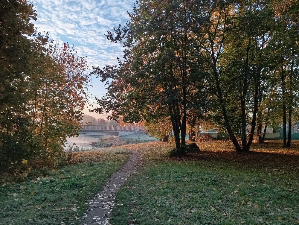 Photo #11327014