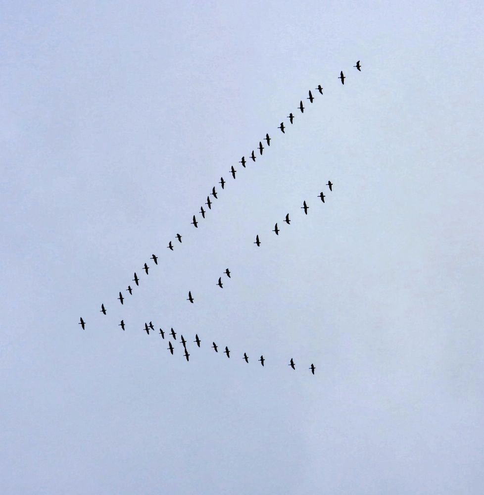 Photograph by Александр Шаварин
