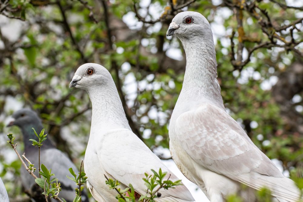 Photograph by Ed Simon