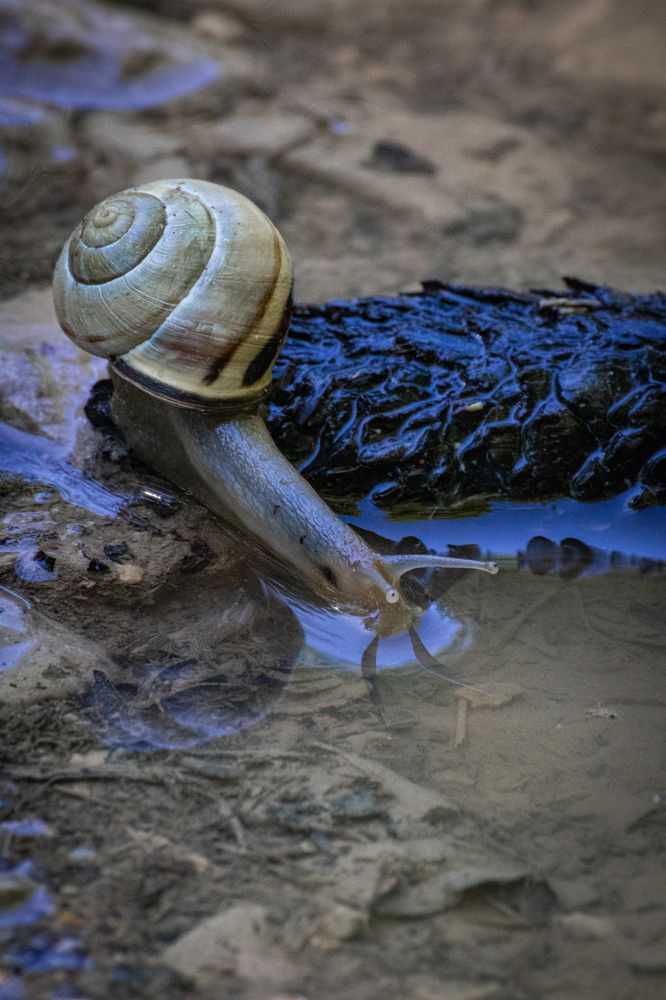 Photograph by Ed Simon