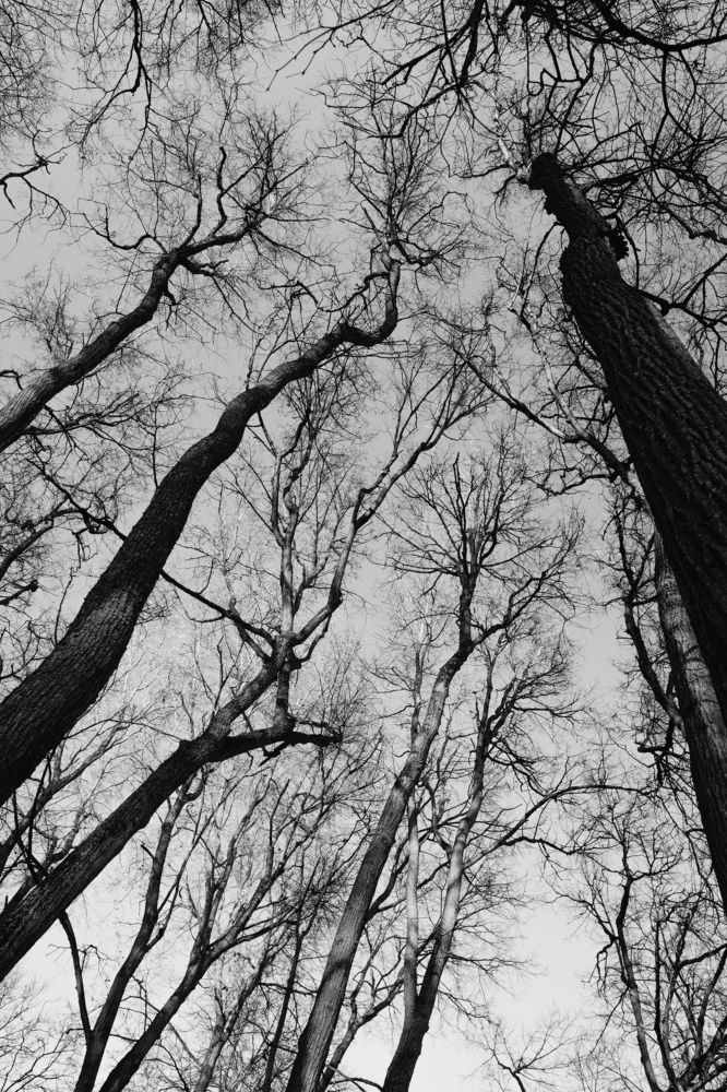 Photograph by Сергей Дивид