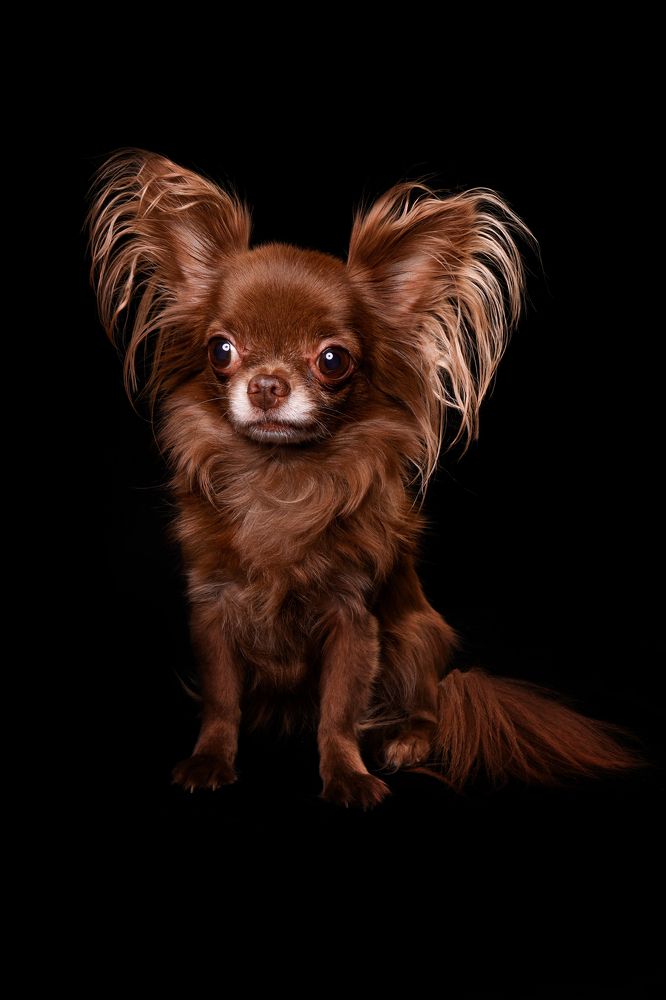 Photograph by Елена Лапочкина