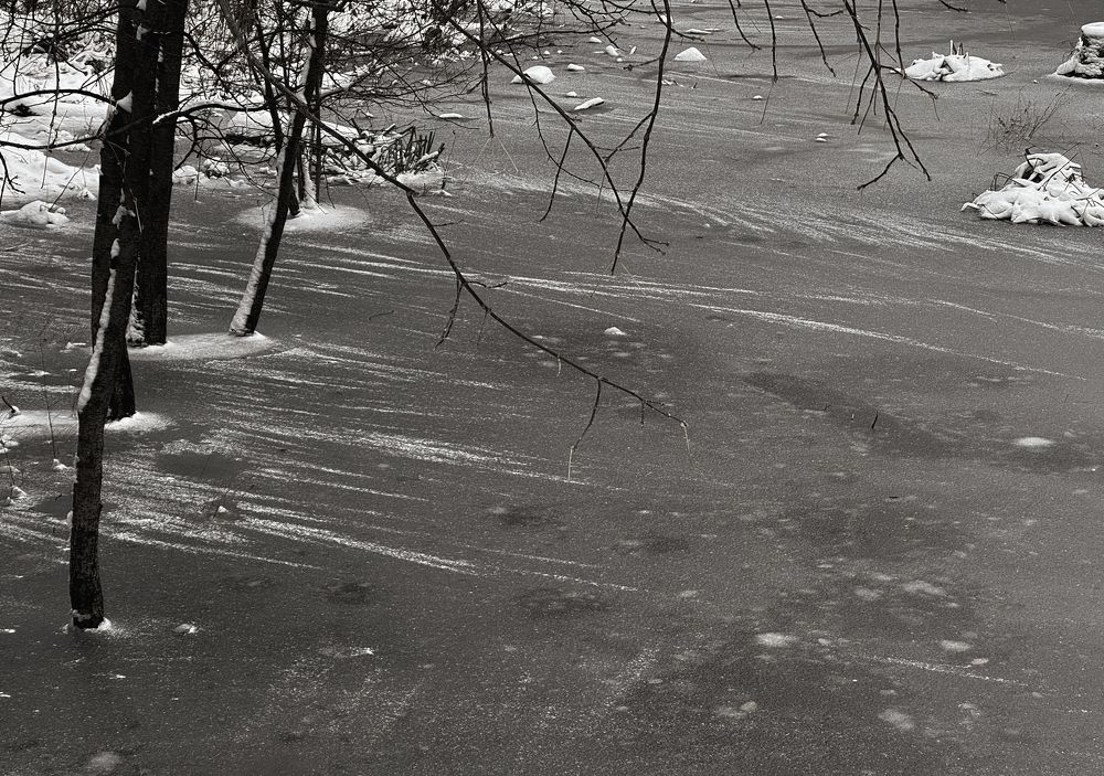 Photograph by Виктория Лаур