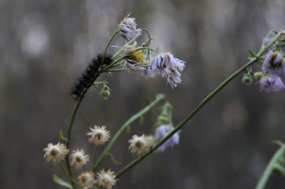 Photograph by Дерезюк Юрий Александрович
