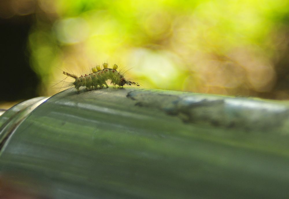 Photograph by Дерезюк Юрий Александрович