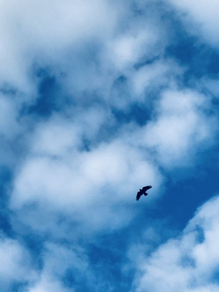 Фотография автора Ирина Костюкевич