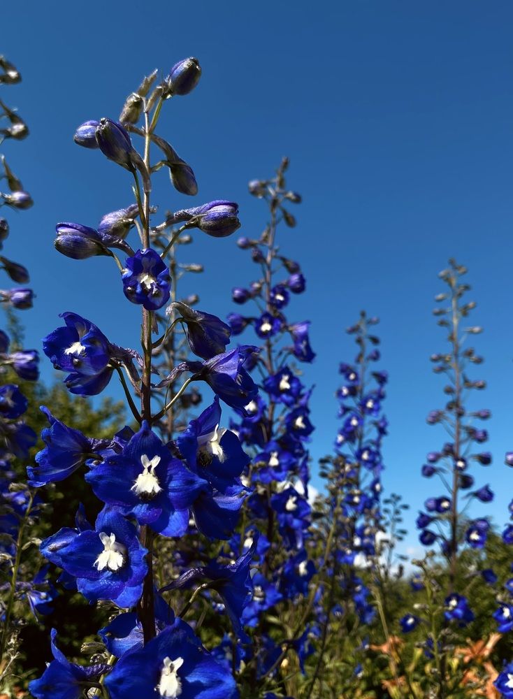 Фотография автора Ирина Костюкевич