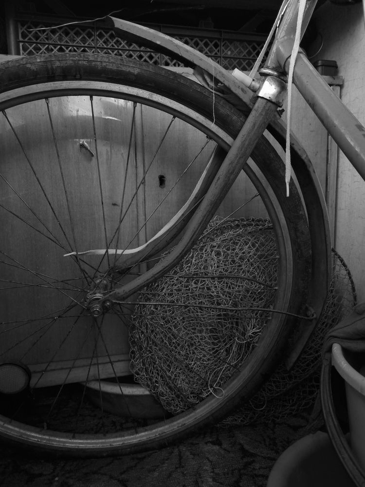 Photograph by Александра