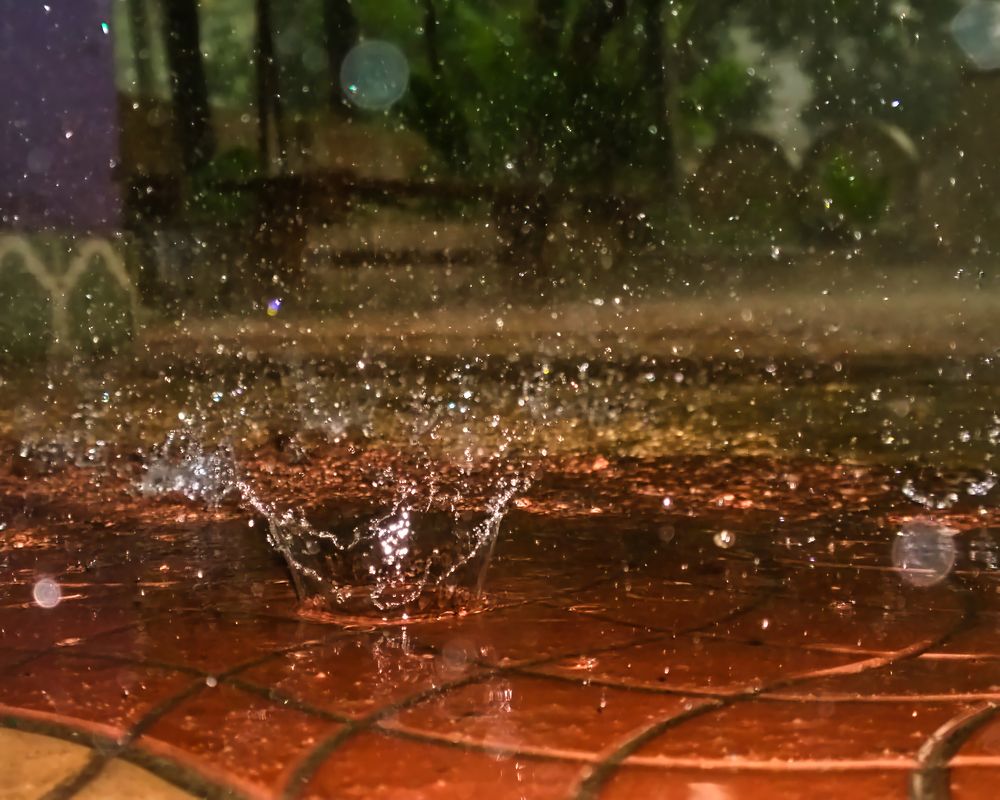 Photograph by Vimal Ram S