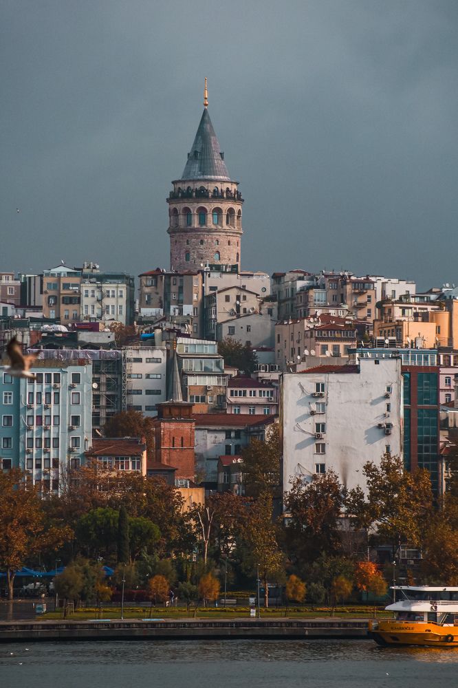 Photograph by Екатерина Нальгиева