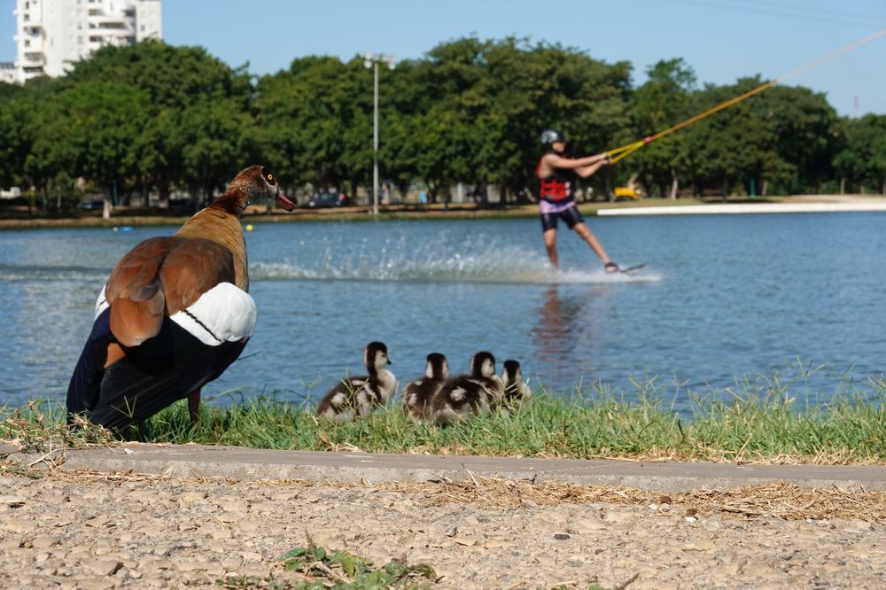 Photograph by Oleg Shamanovski