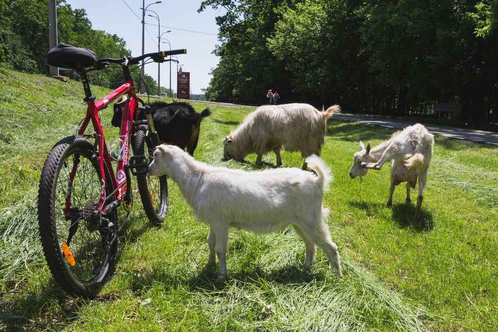 Photograph by Андрей Серый