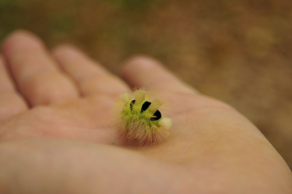 Photograph by Дерезюк Юрий Александрович