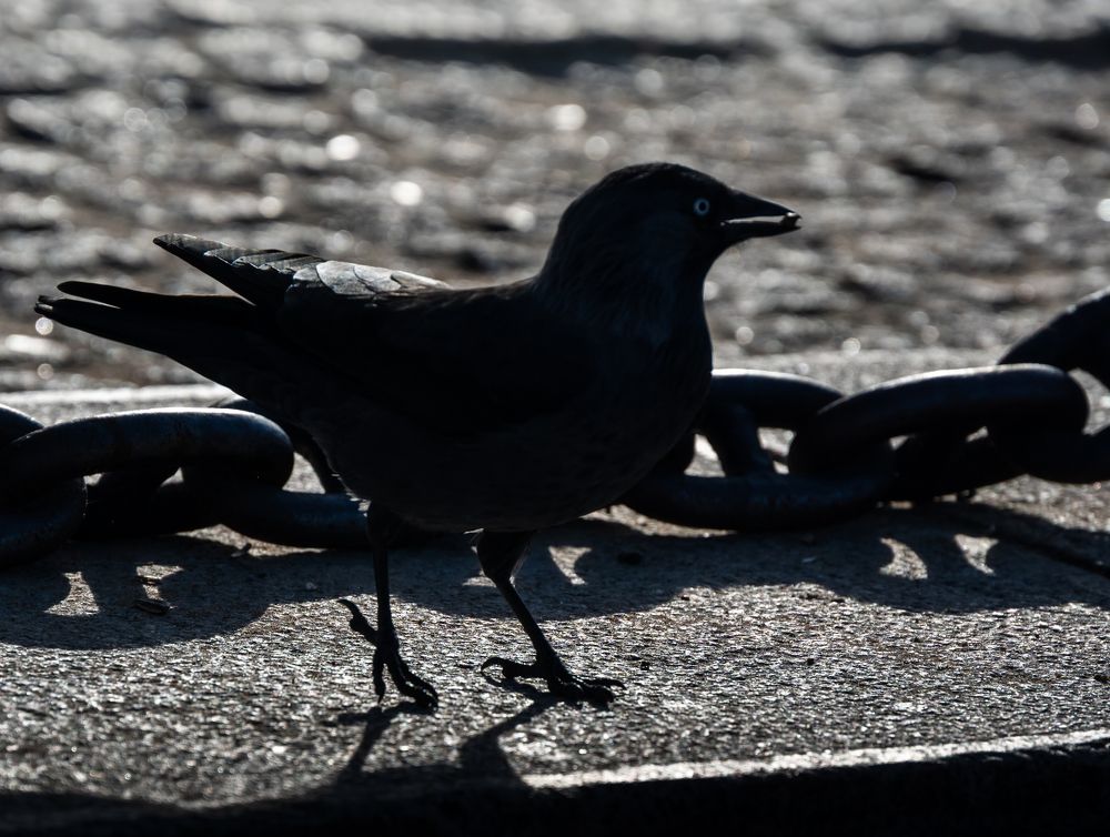 Photograph by Анна Стрелковская