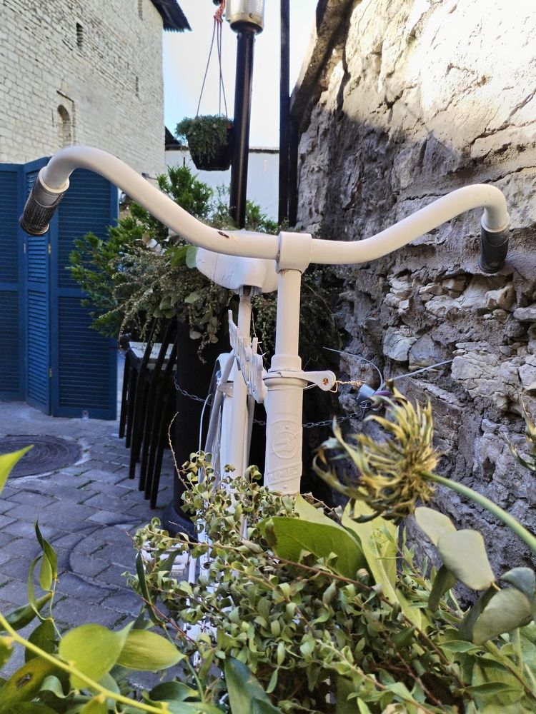 Photograph by Юлия Ю.