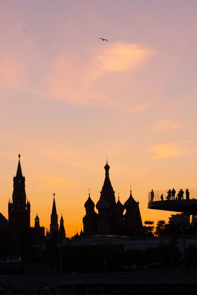 Фотография автора Светлана Зимина