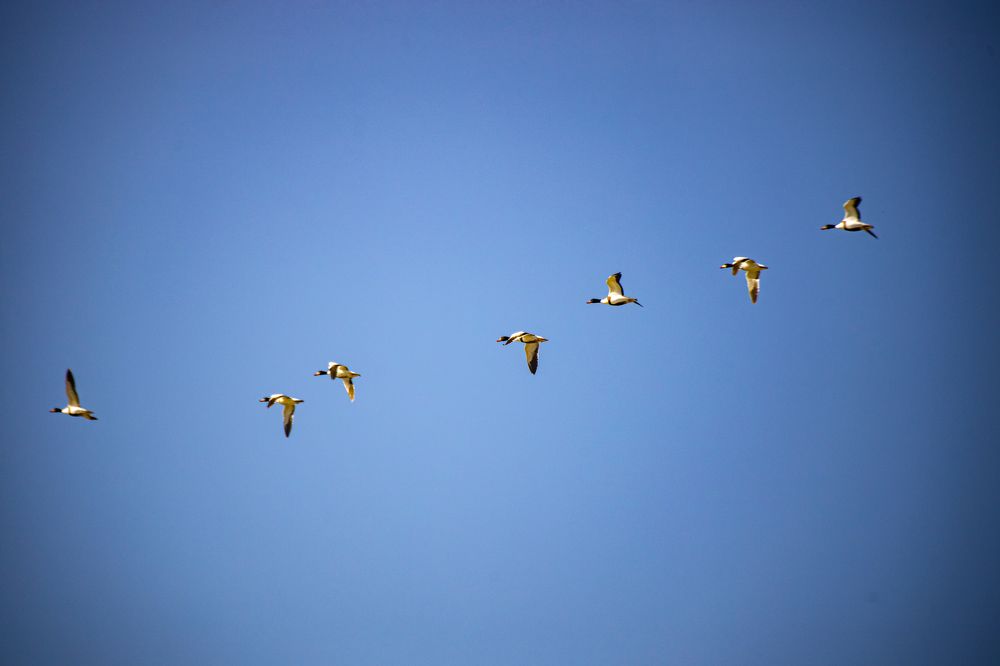 Photograph by Юлия Шурандина