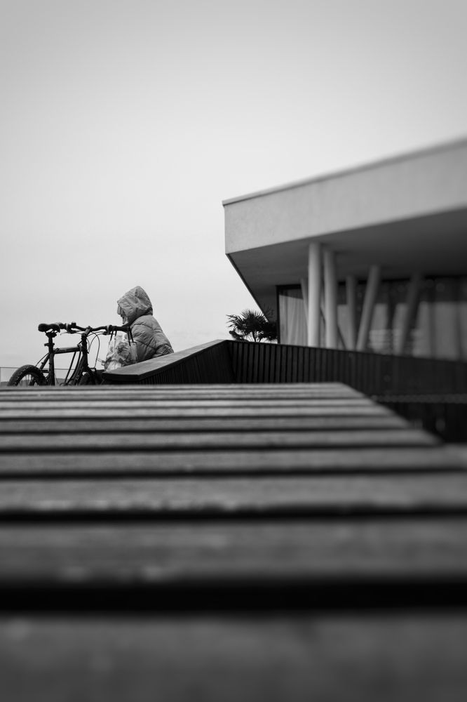 Photograph by Magic Helios