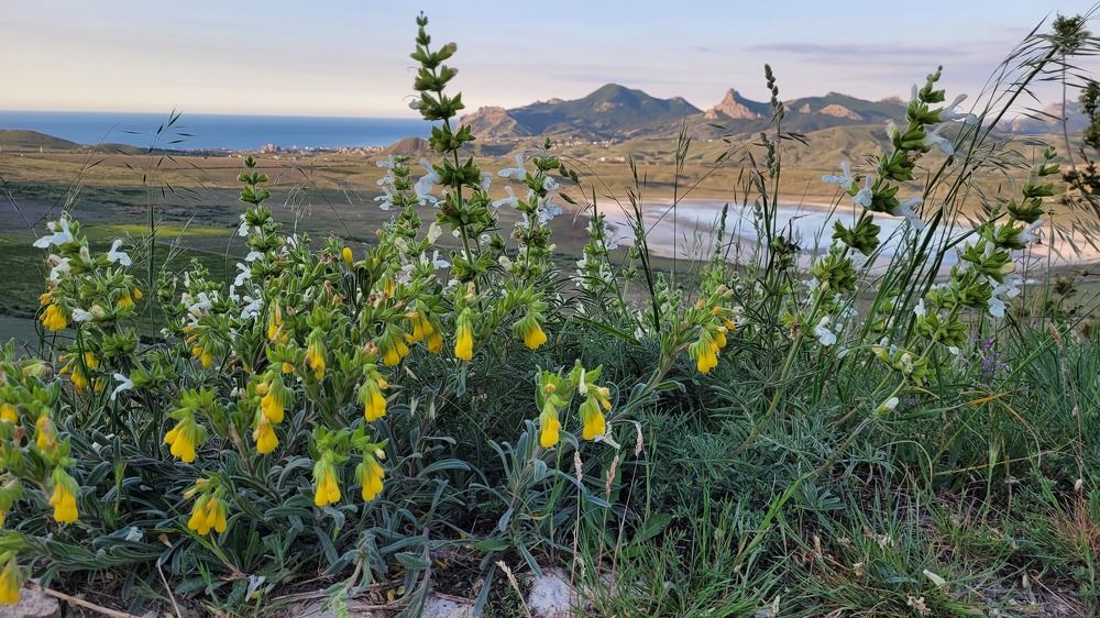 Photograph by Дерезюк Юрий Александрович