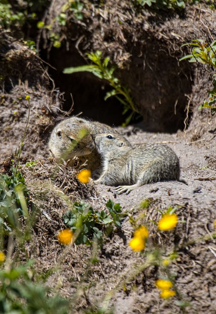 Photograph by Юлия Шурандина