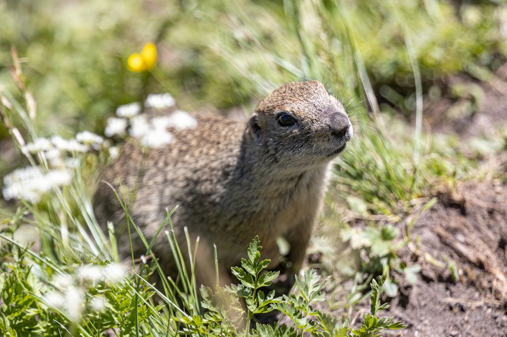 Photograph by Юлия Шурандина