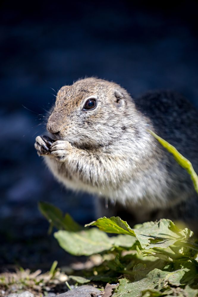 Photograph by Юлия Шурандина