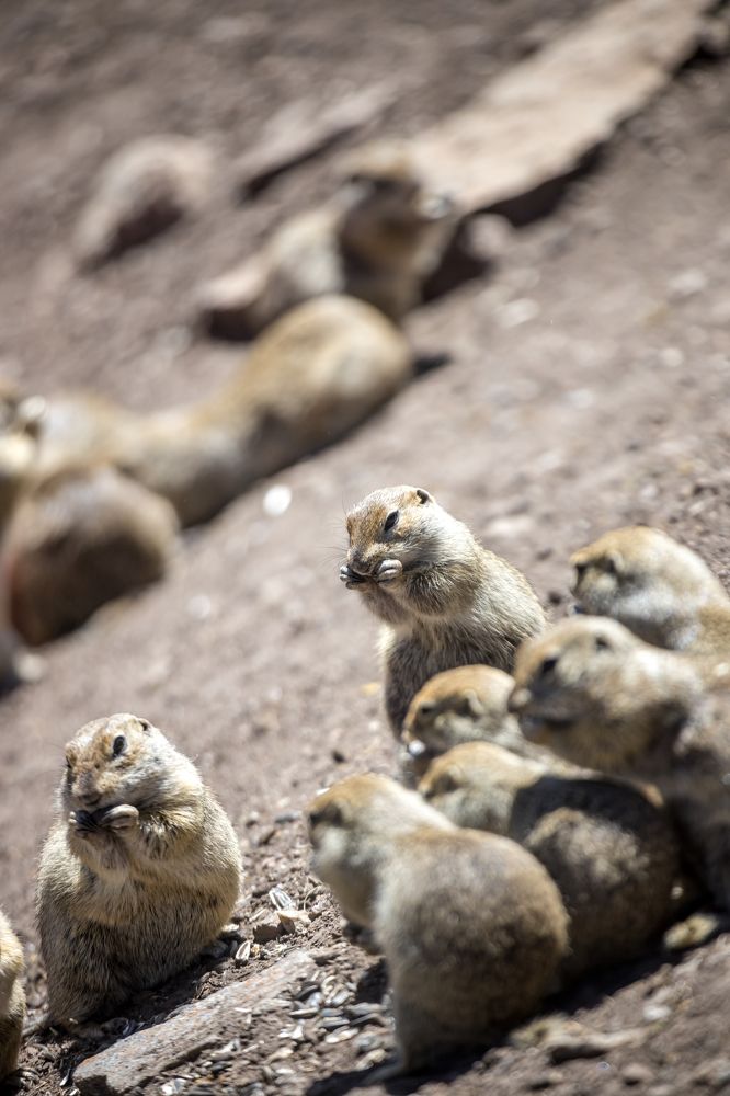 Photograph by Юлия Шурандина