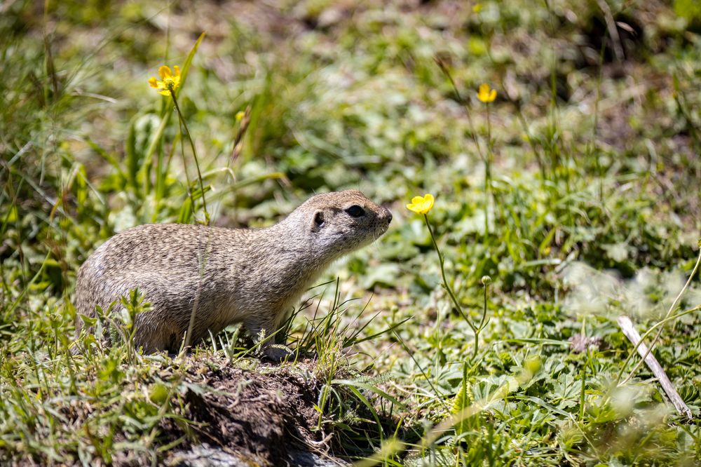 Photograph by Юлия Шурандина