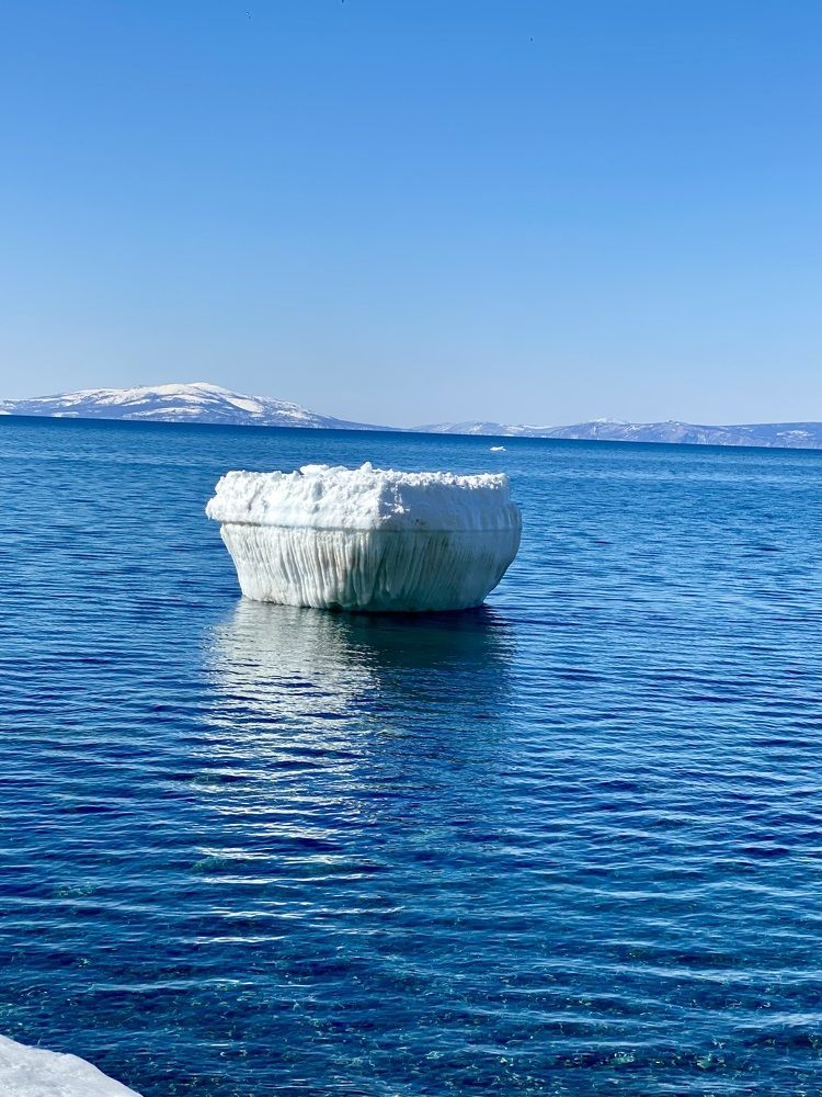 Фотография автора Наталья Вертугина