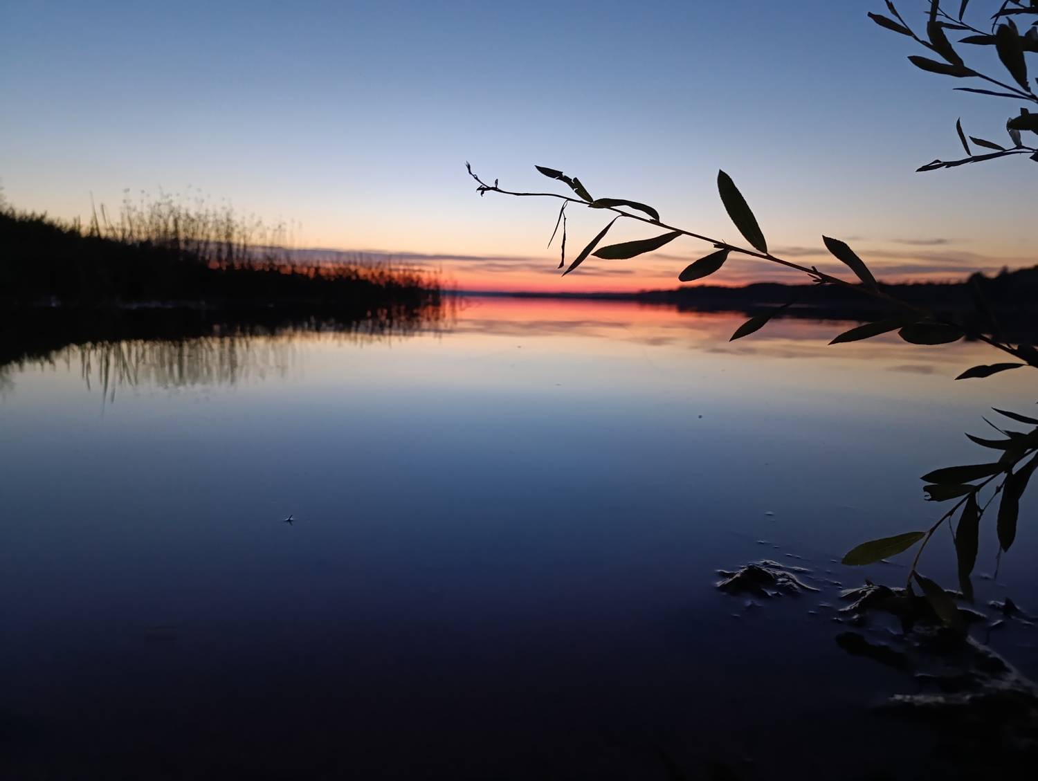 Photo #11327576