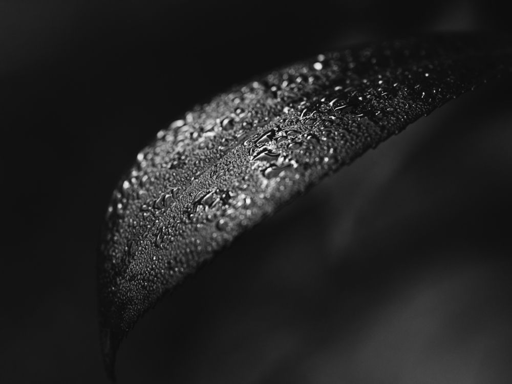 Photograph by Liga KALNINA