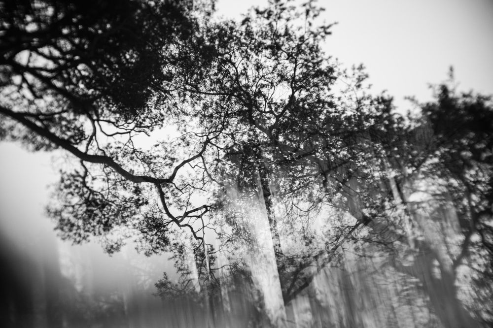 Photograph by Татьяна Бойцова