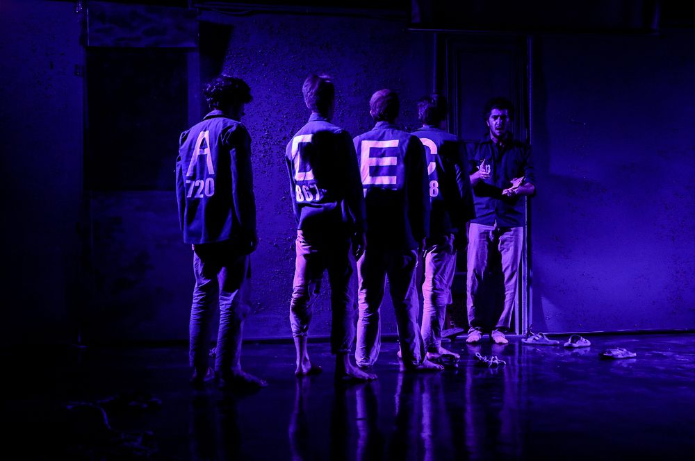 Фотография автора Seyede Elahe GHasemi