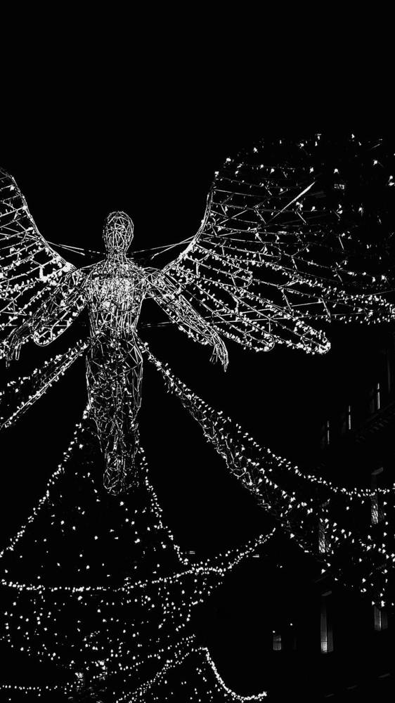 Фотография автора Elvira Cutler