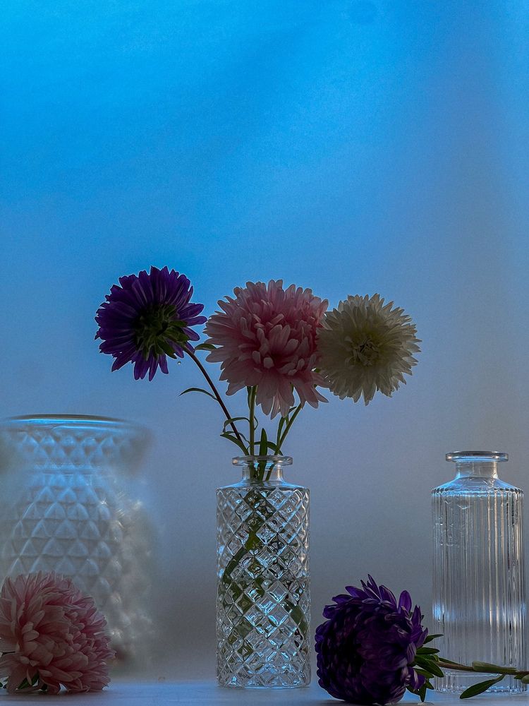 Photograph by Анастасия Германова