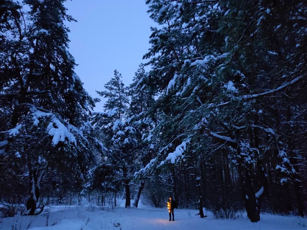 Photograph by Мария Широких