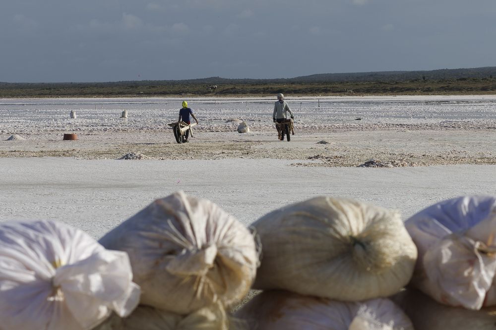 Photograph by Claudia Bertou