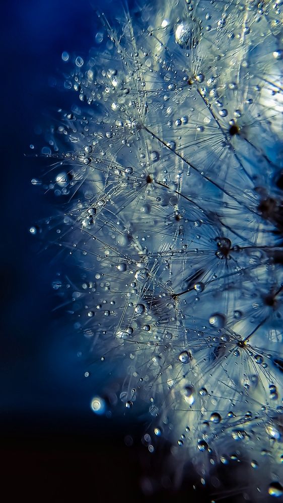 Photograph by Наталья Лищинская