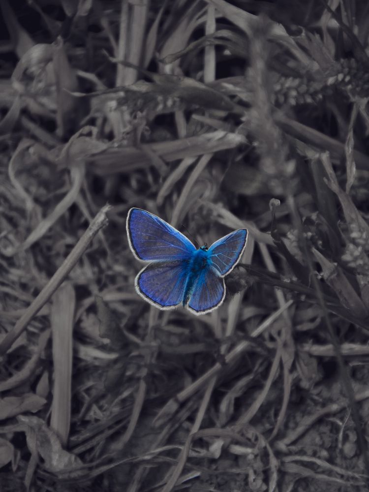 Photograph by Наталья Лищинская